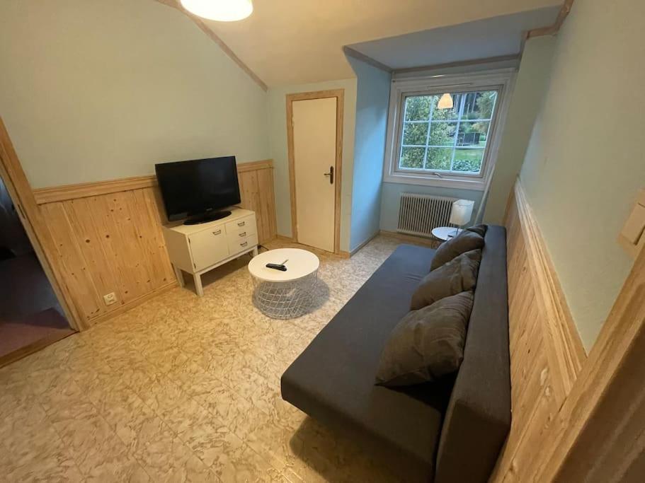 Large Cozy Villa Between Stockholm And Oslo Åmotfors المظهر الخارجي الصورة